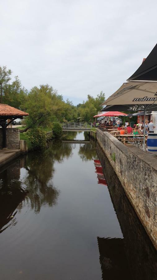 Les Fougeres A81 Les Villages Sous Les Pins Leon 40550 Kültér fotó